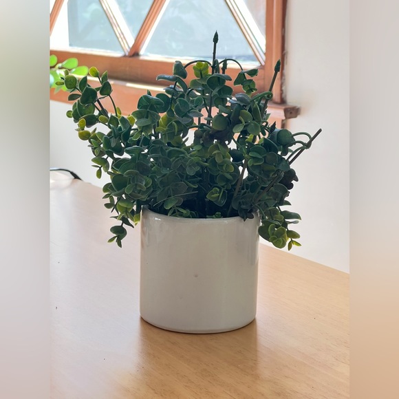 Studio McGee Other - Studio McGee Faux House plant